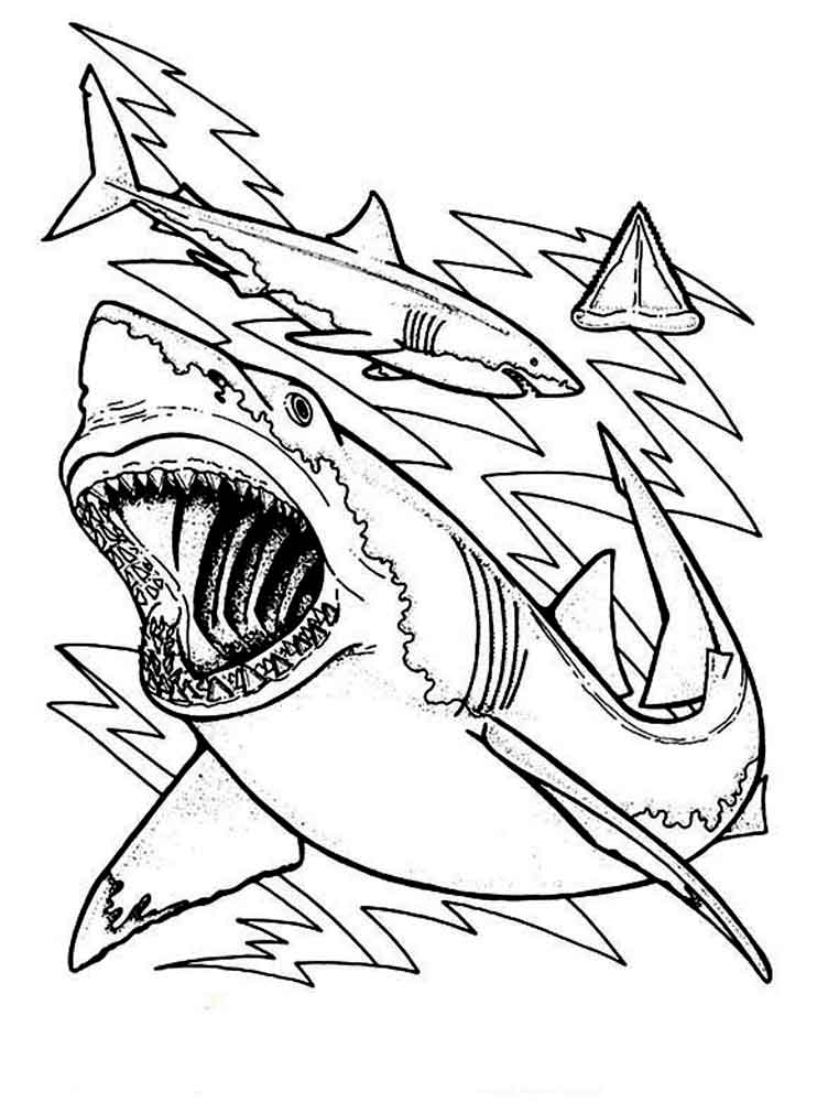 Shark Coloring Pages for Adults Printables 22