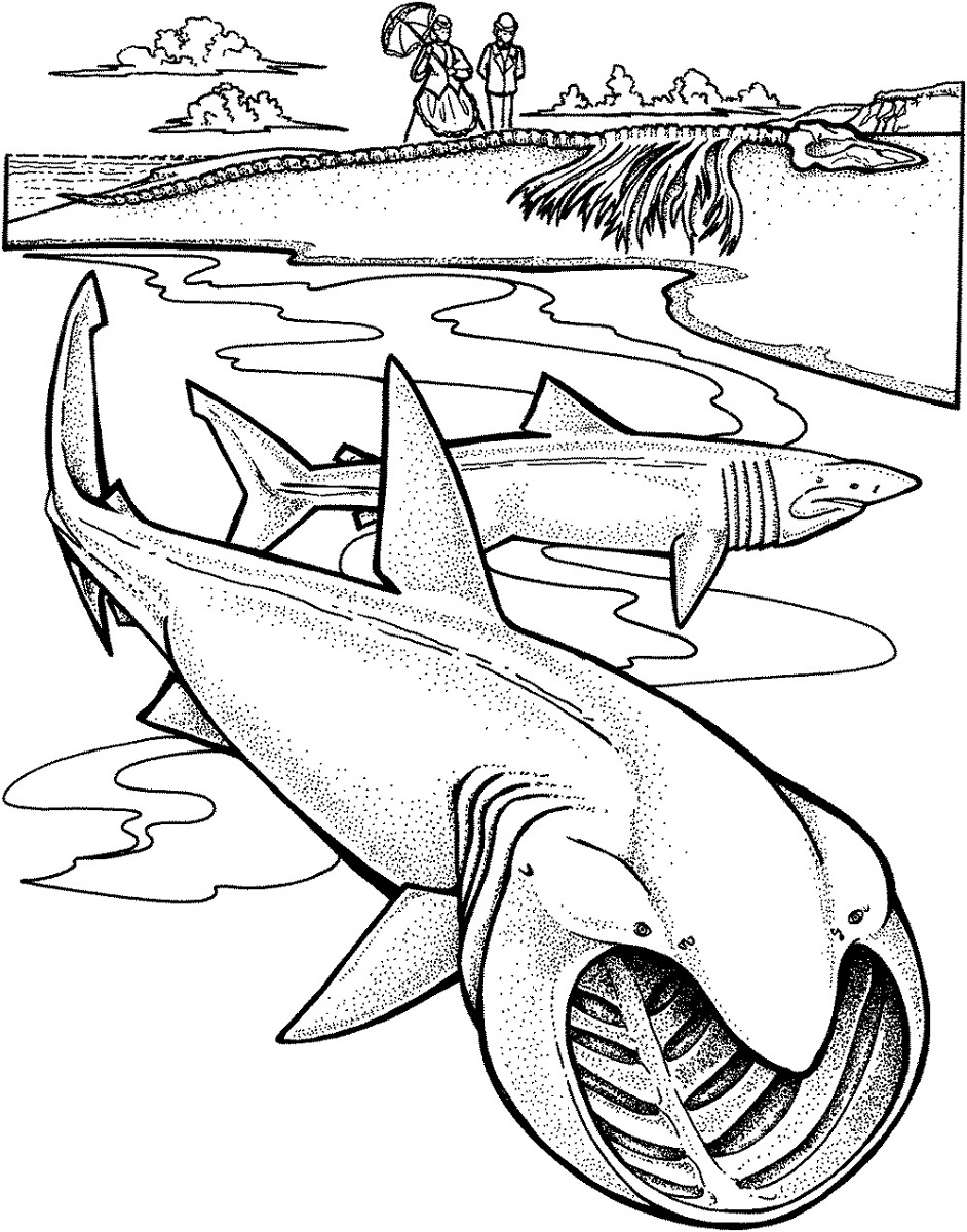 Shark Coloring Pages for Adults Printables 24