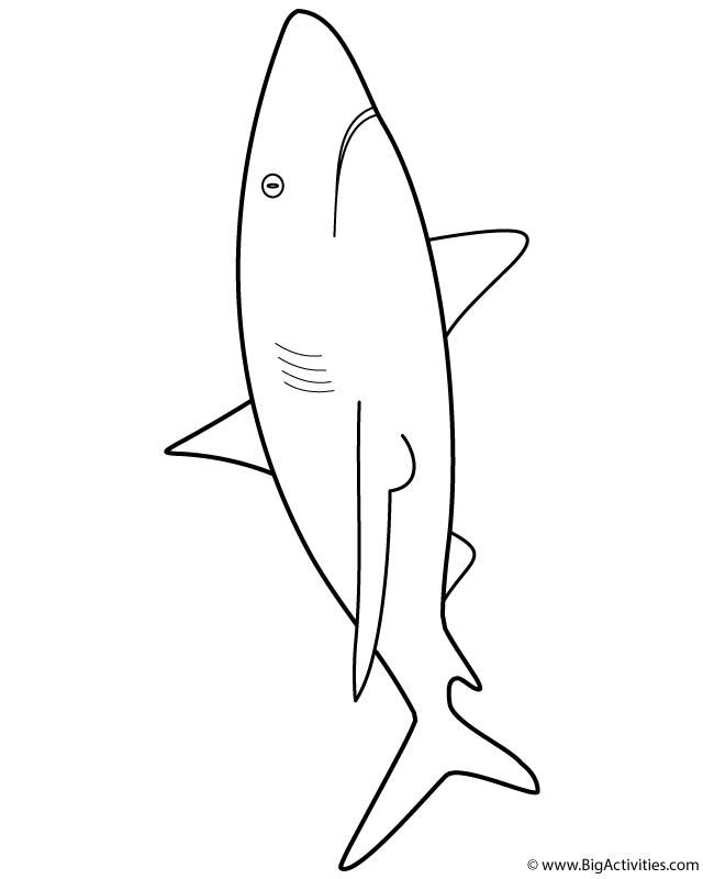 Shark Coloring Pages for Adults Printables 30