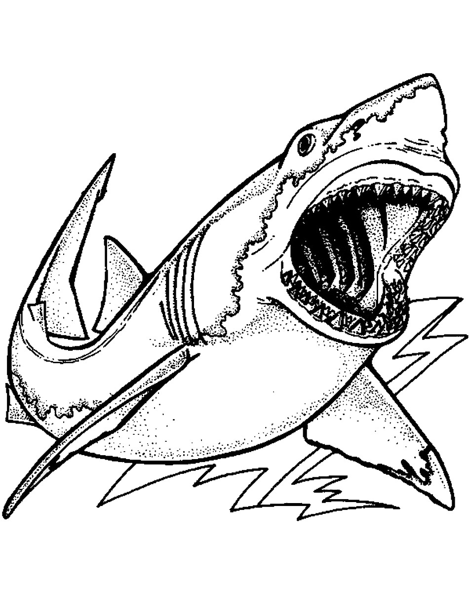 Shark Coloring Pages for Adults Printables 32