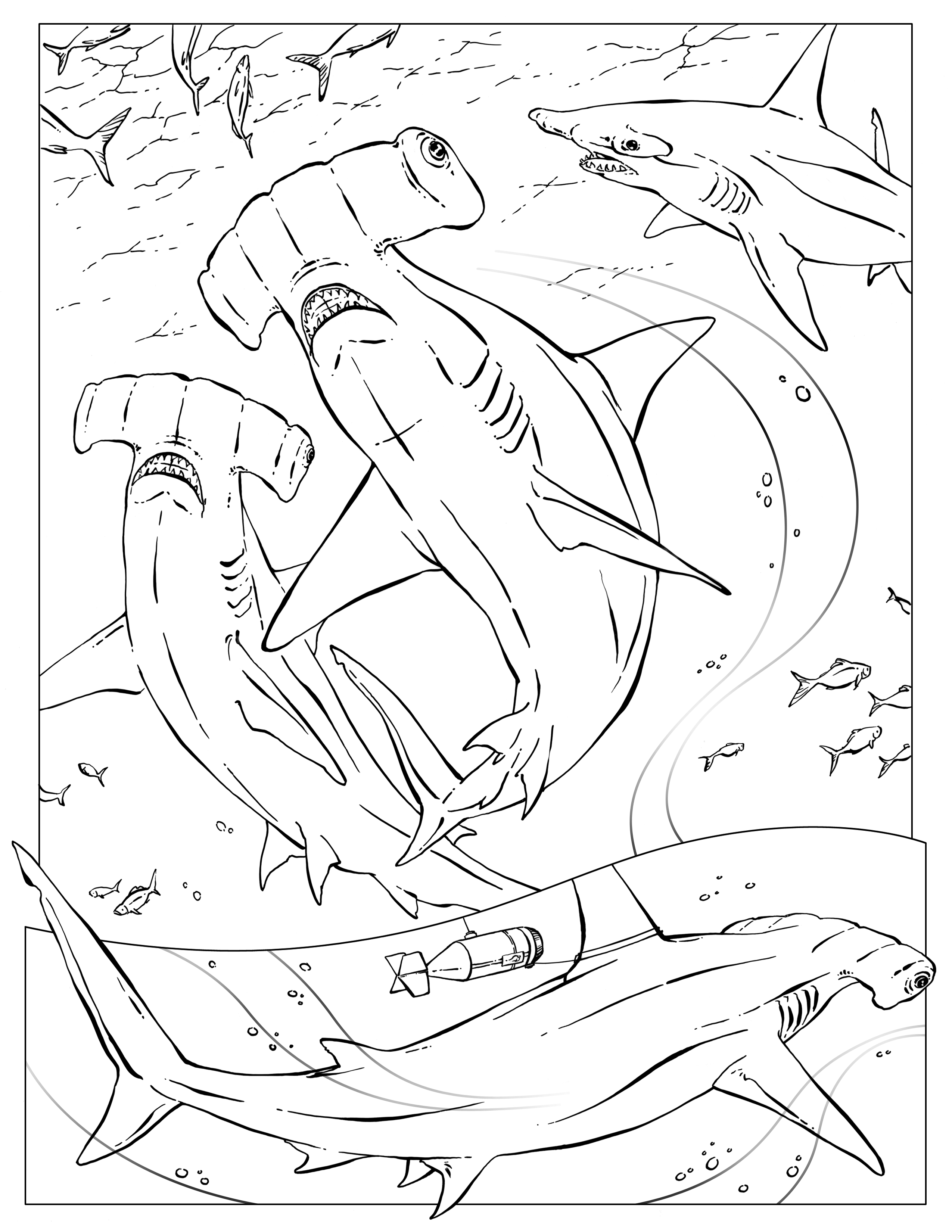 Shark Coloring Pages for Adults Printables 33