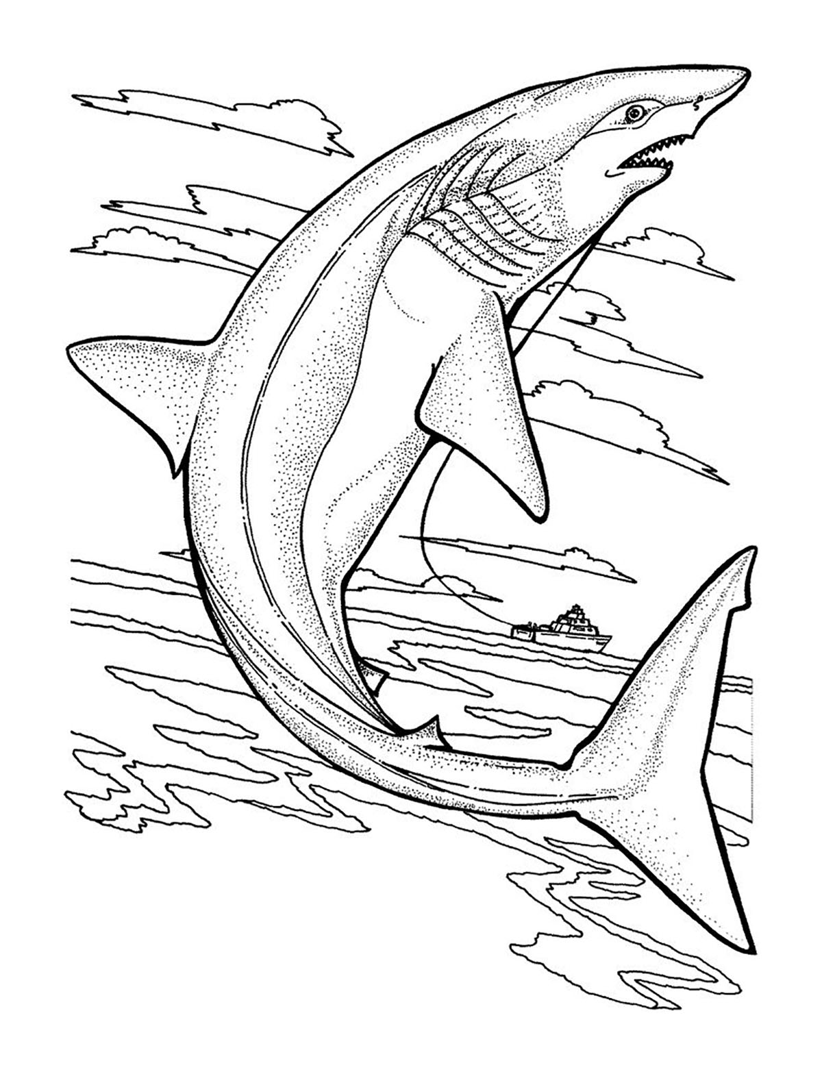 Shark Coloring Pages for Adults Printables 34