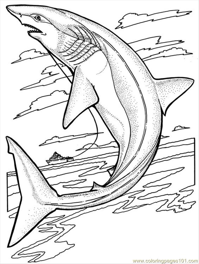 Shark Coloring Pages for Adults Printables 36