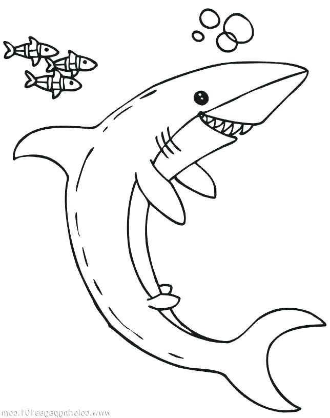 Shark Coloring Pages for Adults Printables 40