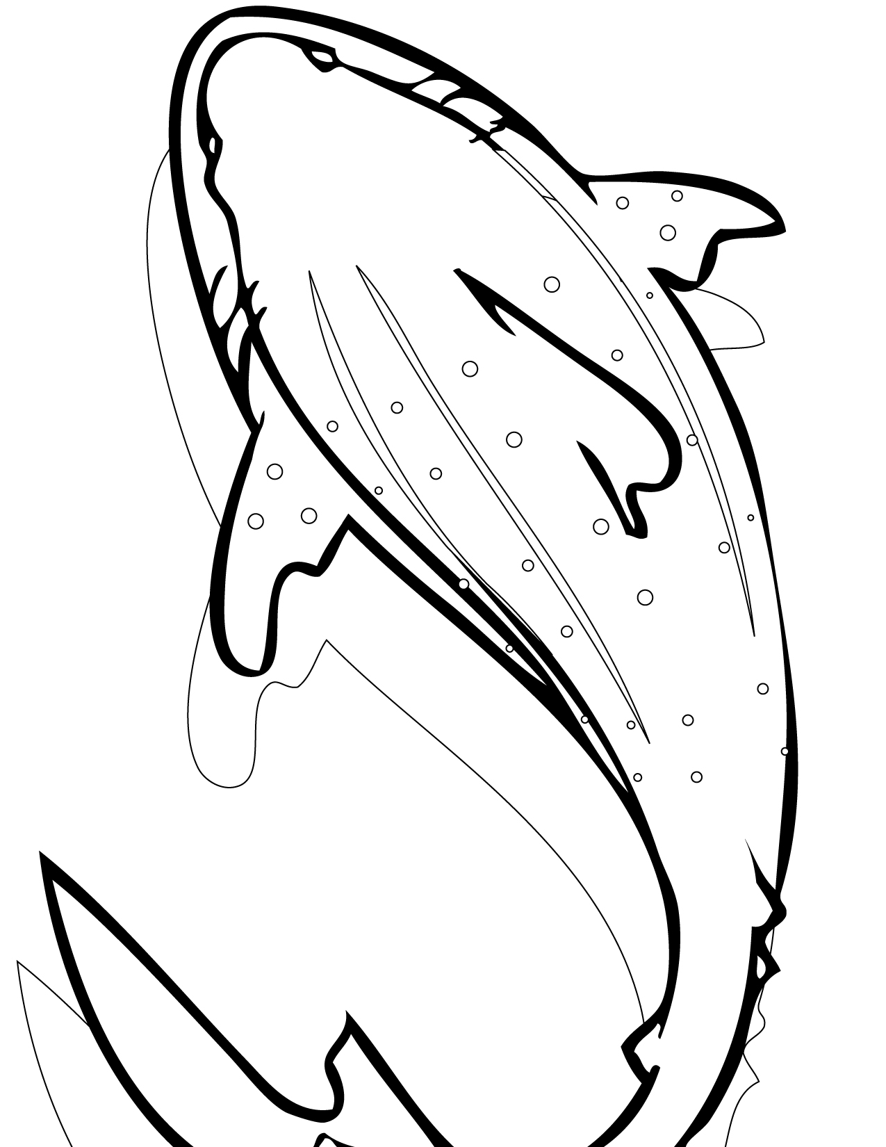 Shark Coloring Pages for Adults Printables 45