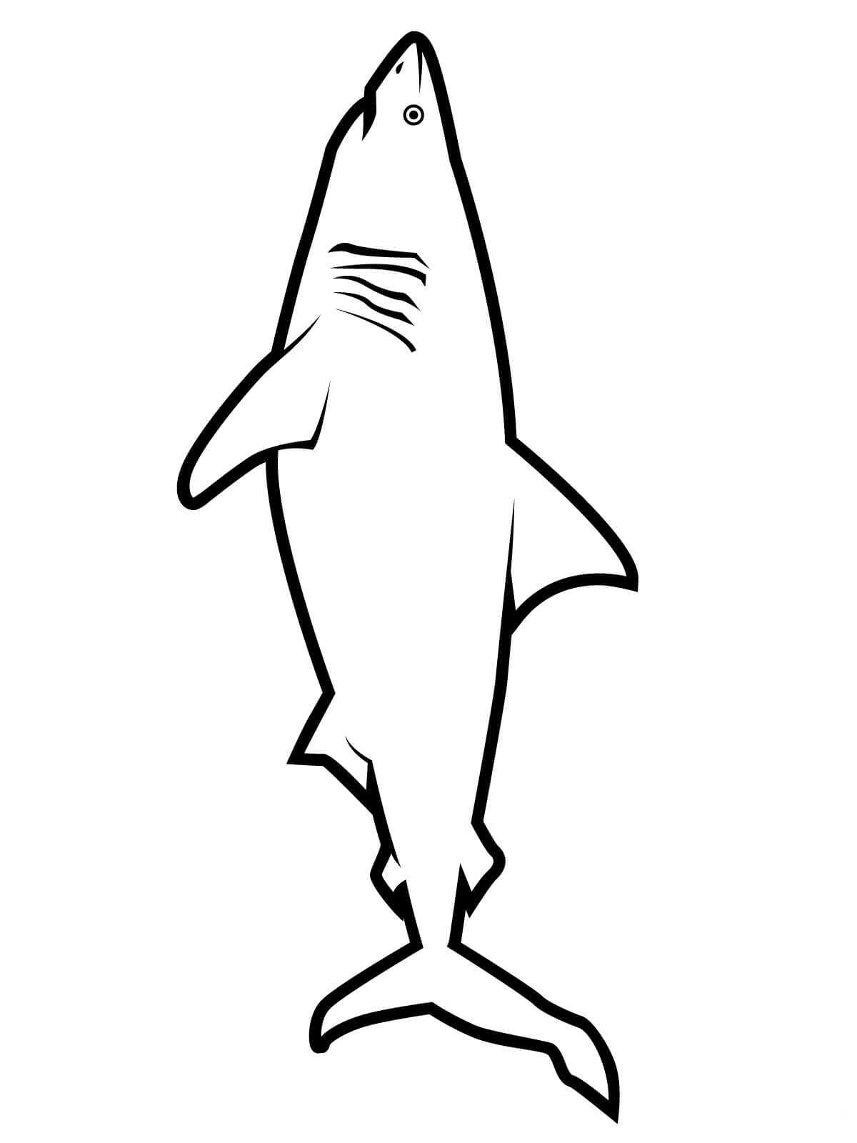 Shark Coloring Pages for Adults Printables 50