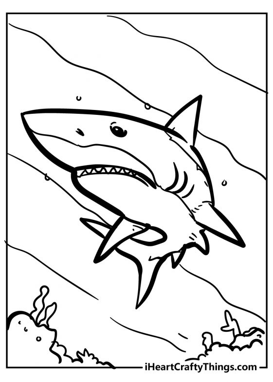 Shark Coloring Pages for Adults Printables 56