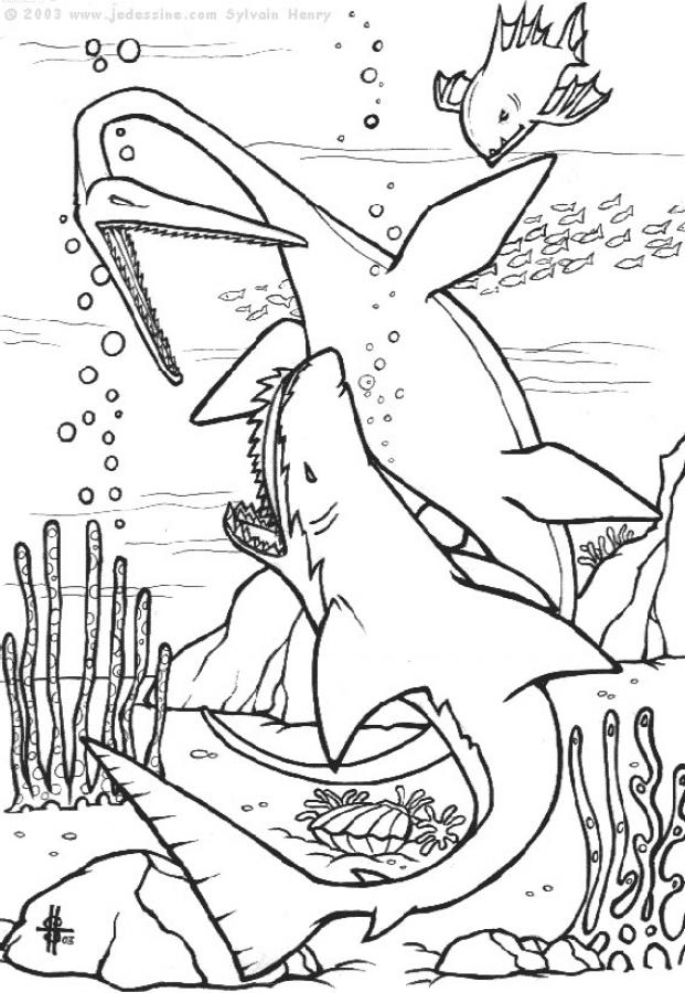 Shark Coloring Pages for Adults Printables 67