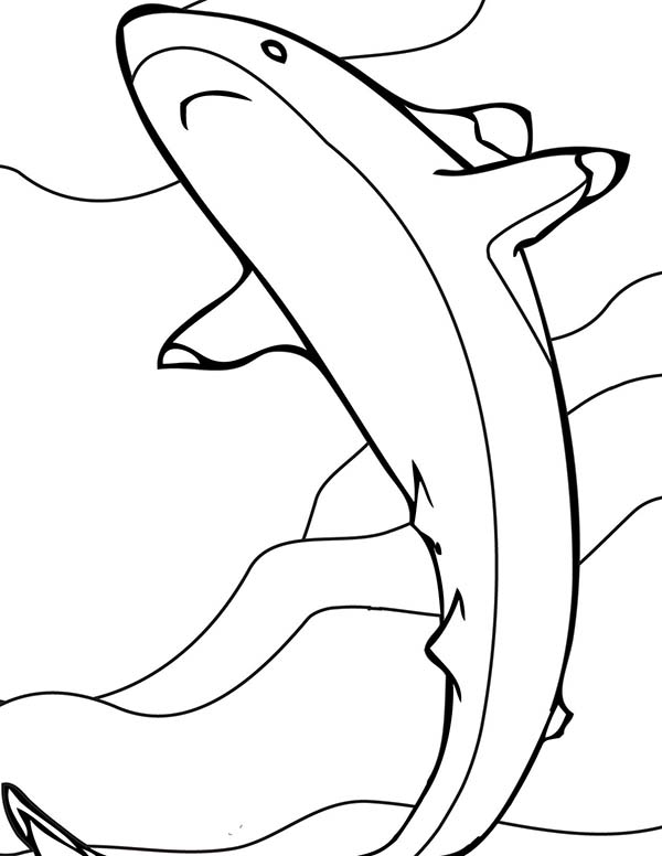 Shark Coloring Pages for Adults Printables 85