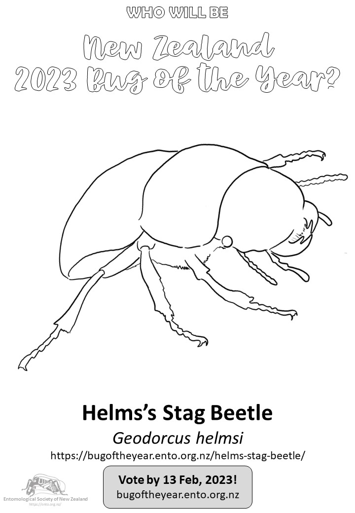 45 Blue Beetle Coloring Pages Free Printables 102