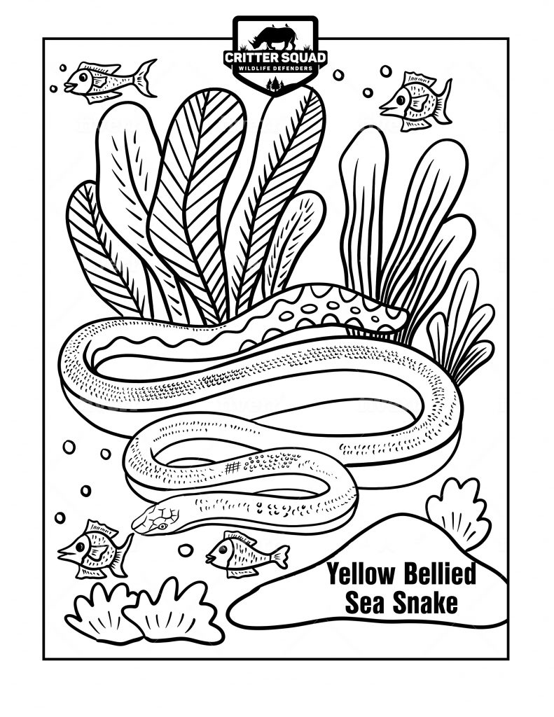 45 Blue Beetle Coloring Pages Free Printables 125