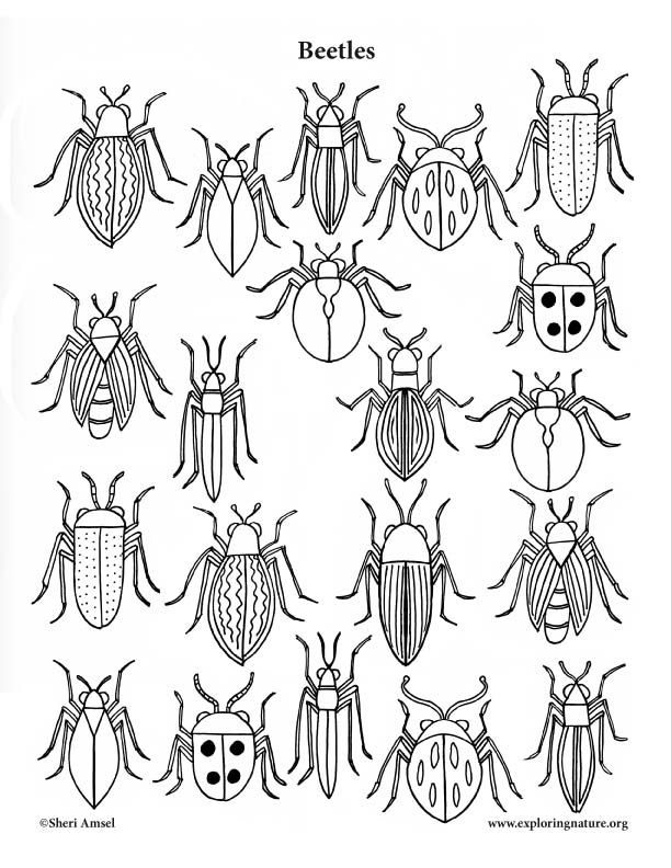 45 Blue Beetle Coloring Pages Free Printables 8