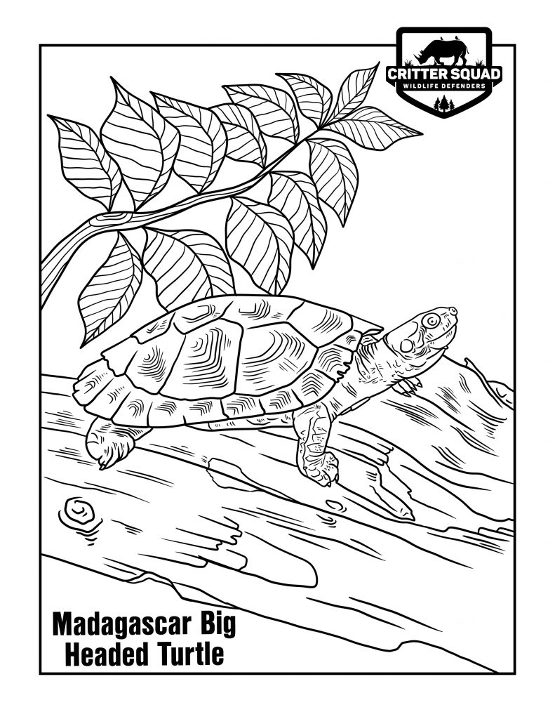 45 Blue Beetle Coloring Pages Free Printables 97