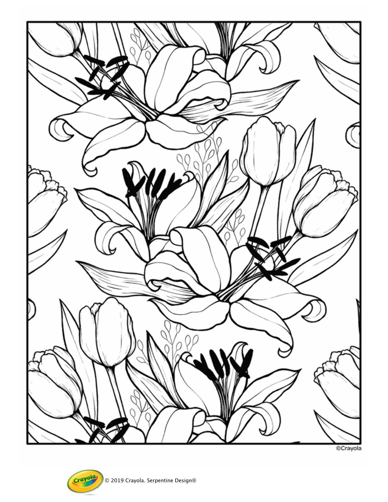 65 Crayola Coloring Pages Free Printable 112