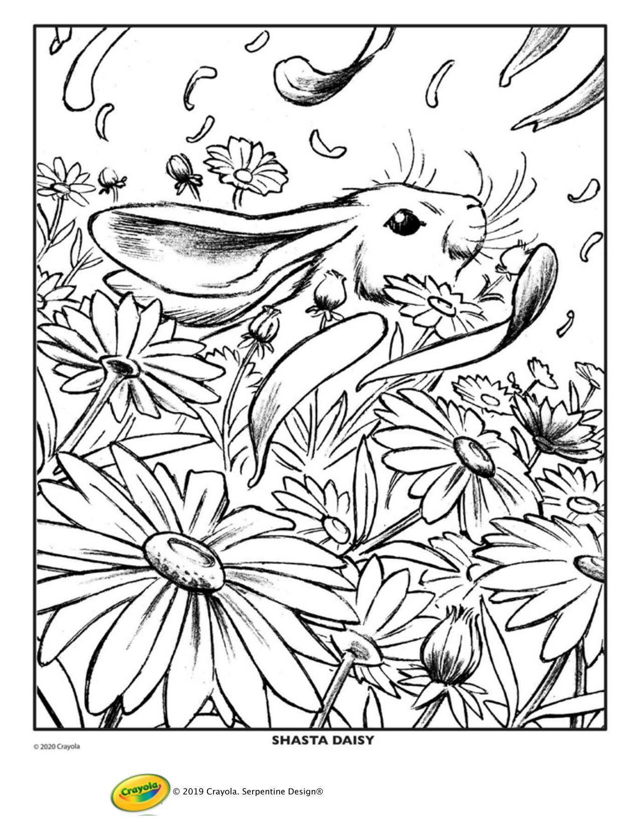 65 Crayola Coloring Pages Free Printable 69