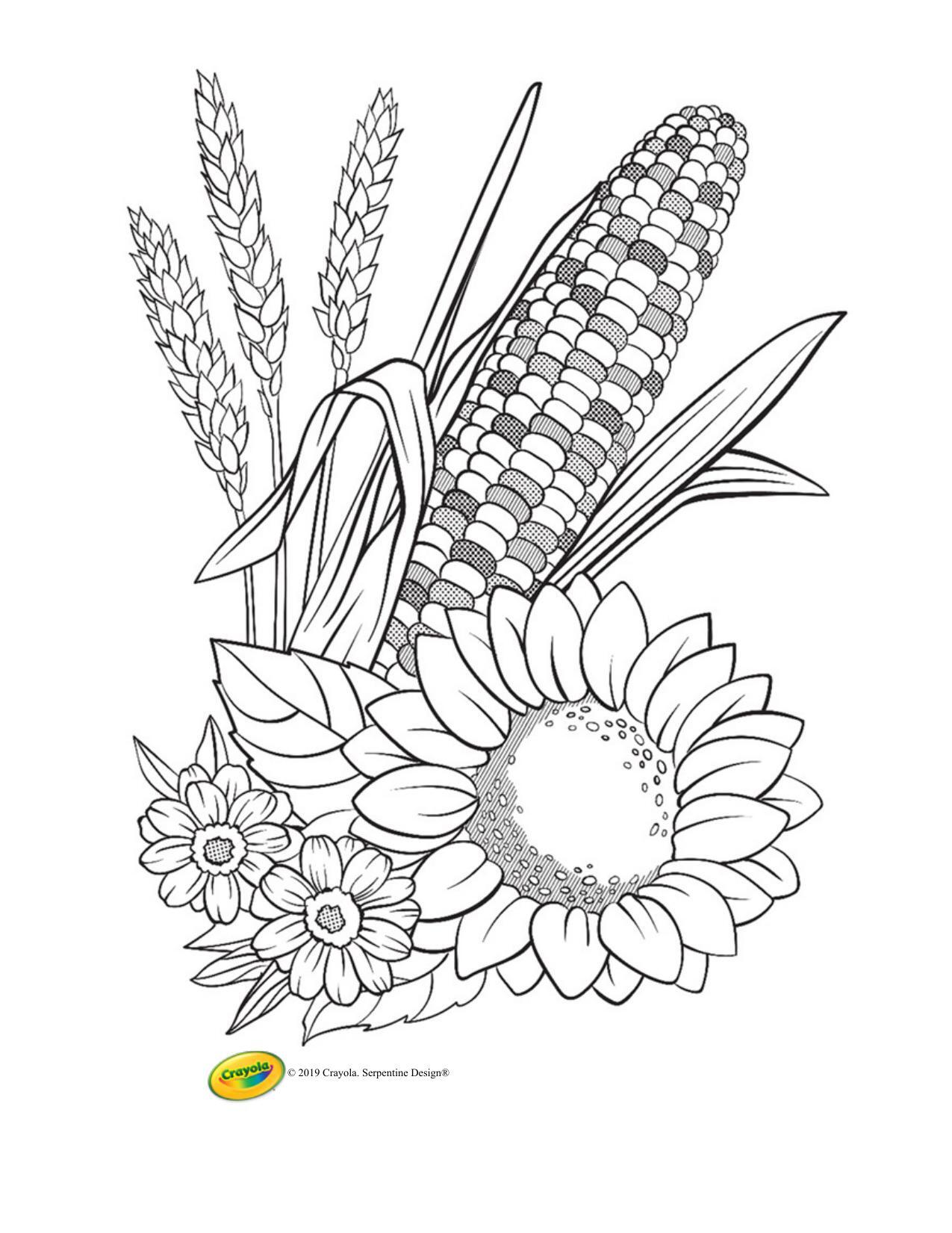 65 Crayola Coloring Pages Free Printable 97