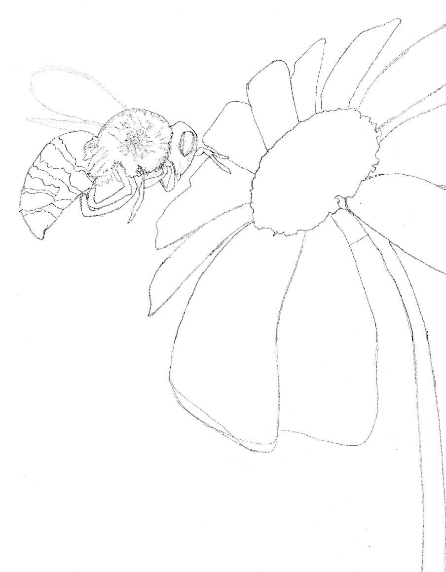 65+ Joy Coloring Page for Kids 66