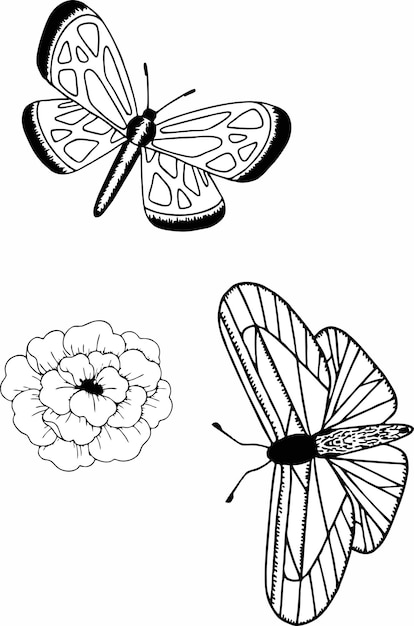 Butterfly Coloring Pages: 100+ A Fluttery Collection for Your Coloring Pleasure 1