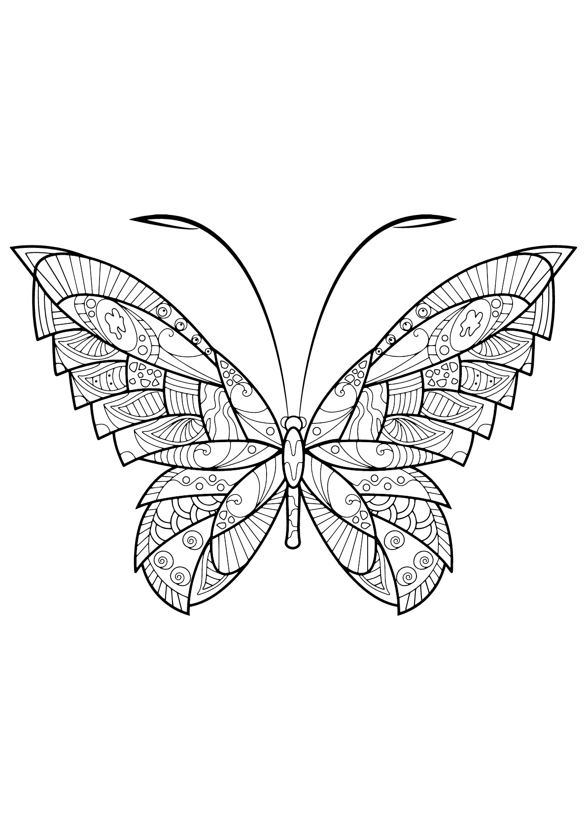 Butterfly Coloring Pages: 100+ A Fluttery Collection for Your Coloring Pleasure 100