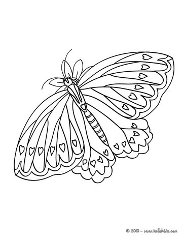 Butterfly Coloring Pages: 100+ A Fluttery Collection for Your Coloring Pleasure 11