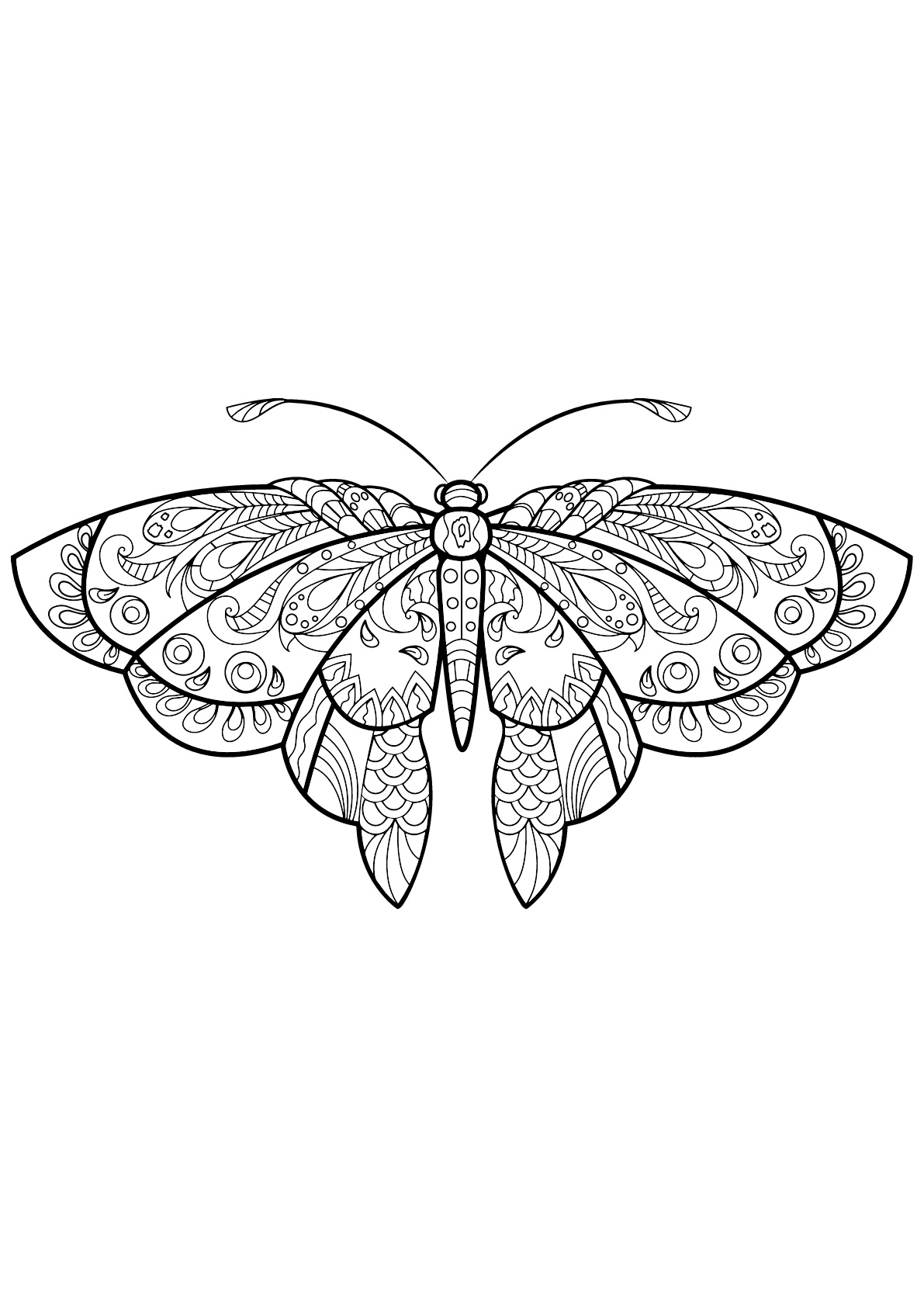 Butterfly Coloring Pages: 100+ A Fluttery Collection for Your Coloring Pleasure 13