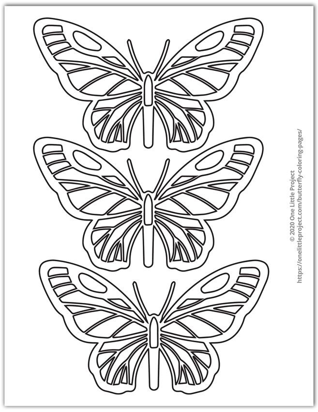 Butterfly Coloring Pages: 100+ A Fluttery Collection for Your Coloring Pleasure 137