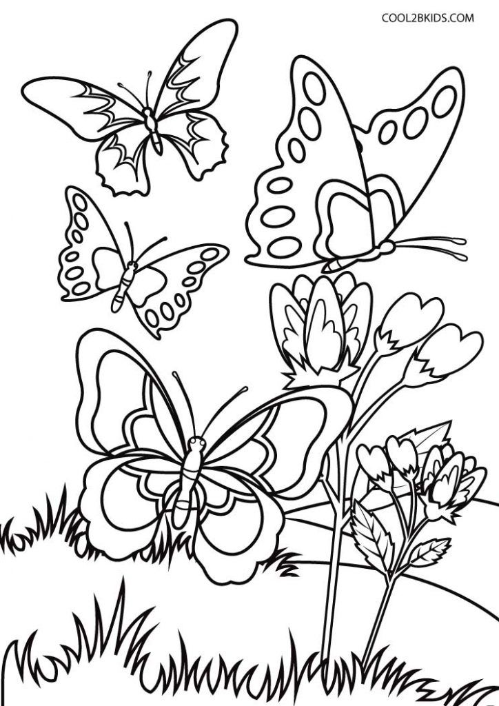 Butterfly Coloring Pages: 100+ A Fluttery Collection for Your Coloring Pleasure 153