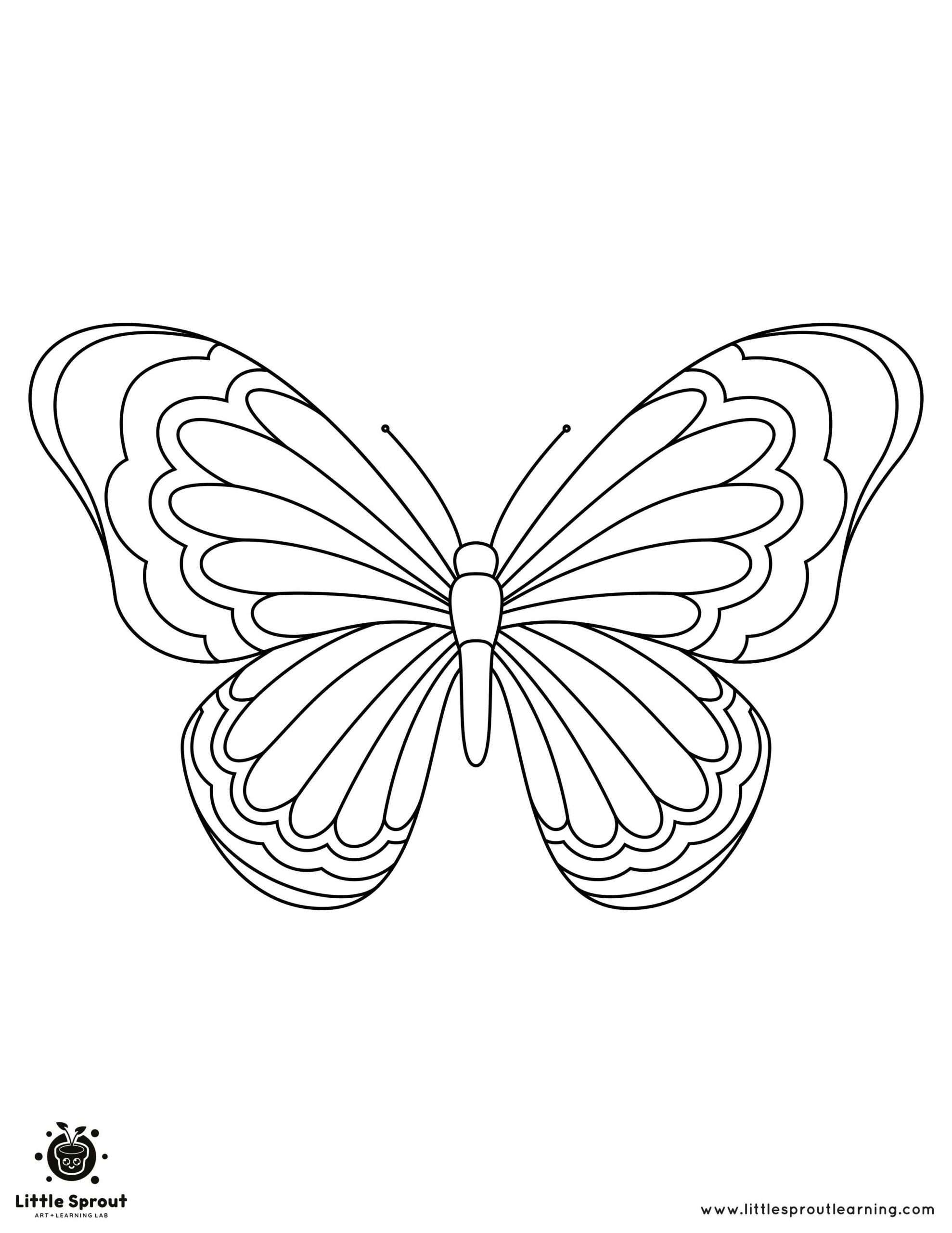 Butterfly Coloring Pages: 100+ A Fluttery Collection for Your Coloring Pleasure 155