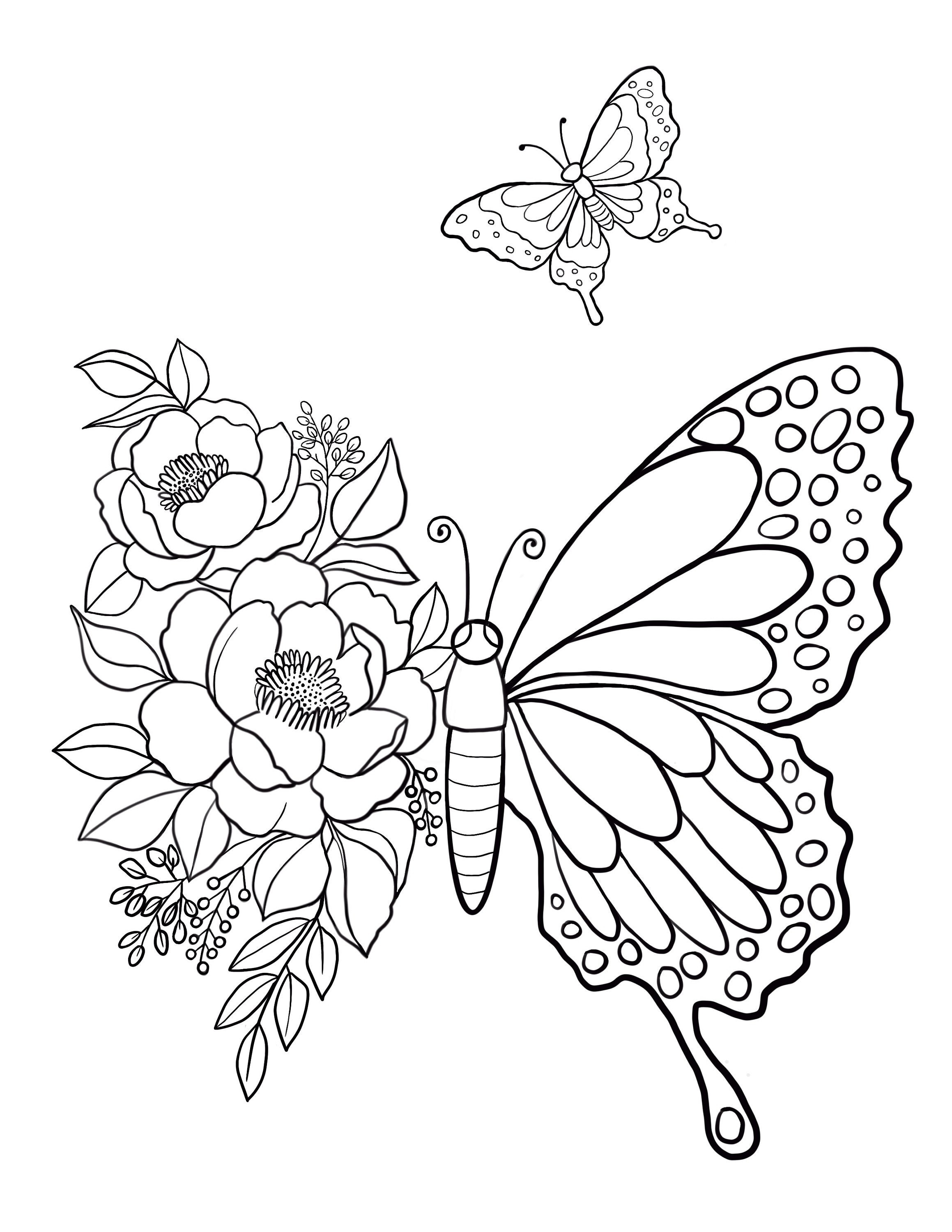 Butterfly Coloring Pages: 100+ A Fluttery Collection for Your Coloring Pleasure 157