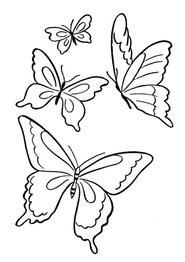 Butterfly Coloring Pages: 100+ A Fluttery Collection for Your Coloring Pleasure 159