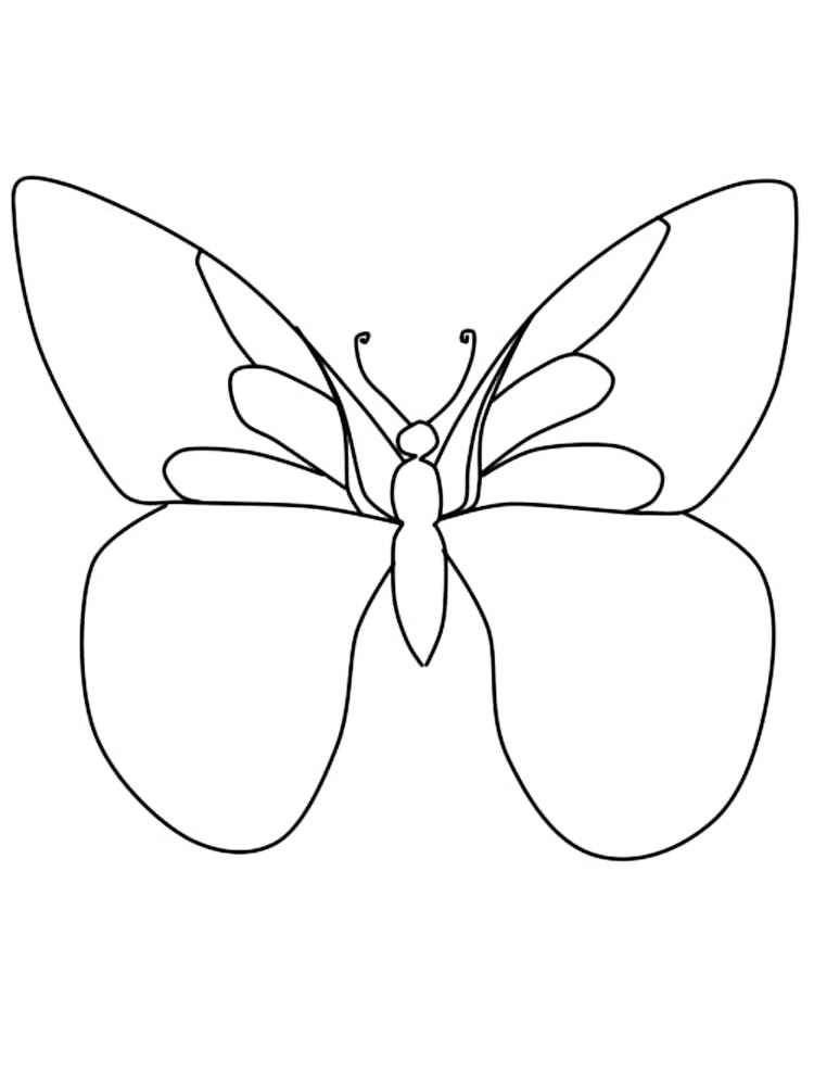 Butterfly Coloring Pages: 100+ A Fluttery Collection for Your Coloring Pleasure 165