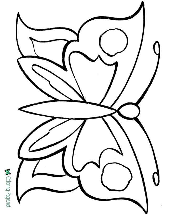 Butterfly Coloring Pages: 100+ A Fluttery Collection for Your Coloring Pleasure 167