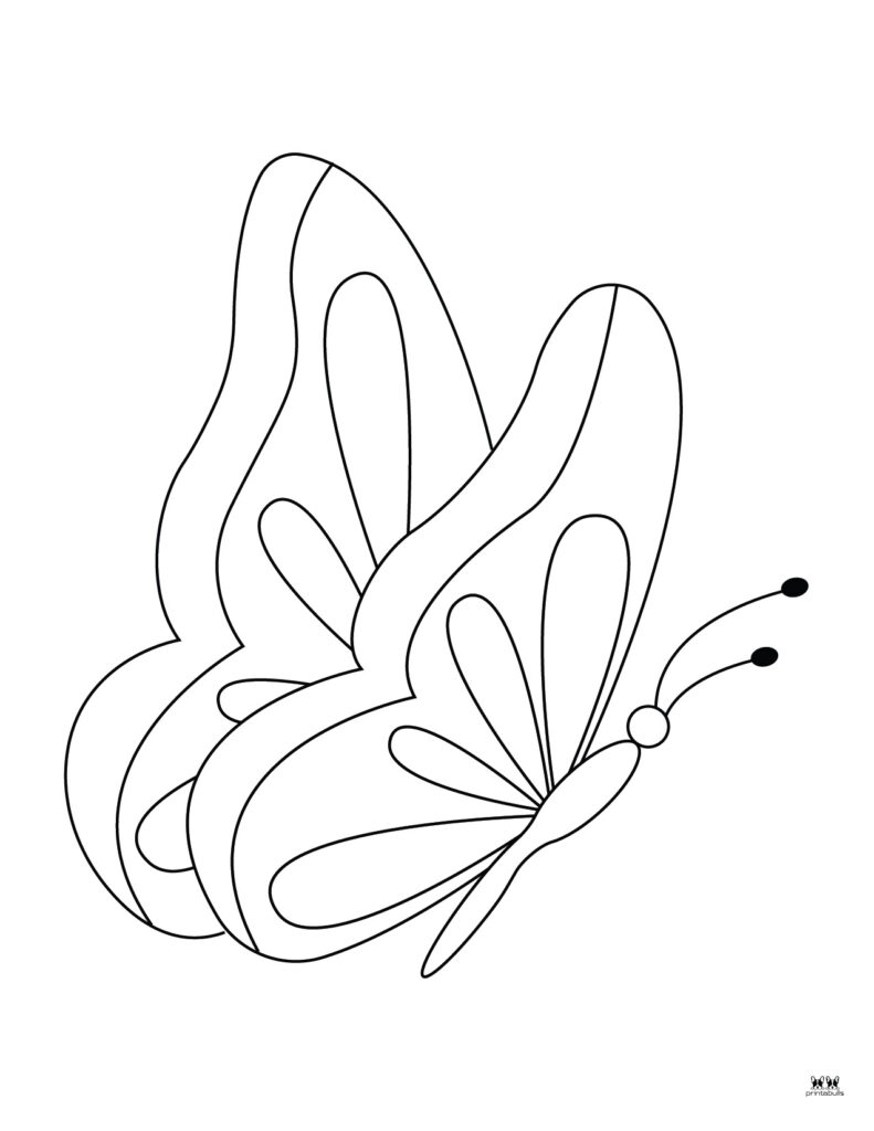 Butterfly Coloring Pages: 100+ A Fluttery Collection for Your Coloring Pleasure 170