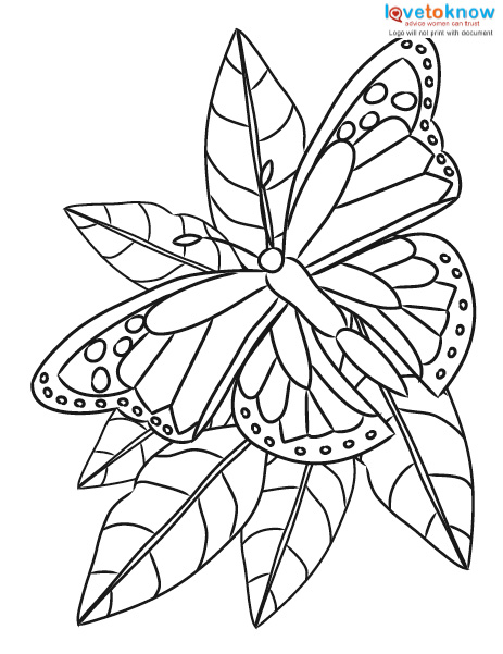 Butterfly Coloring Pages: 100+ A Fluttery Collection for Your Coloring Pleasure 174