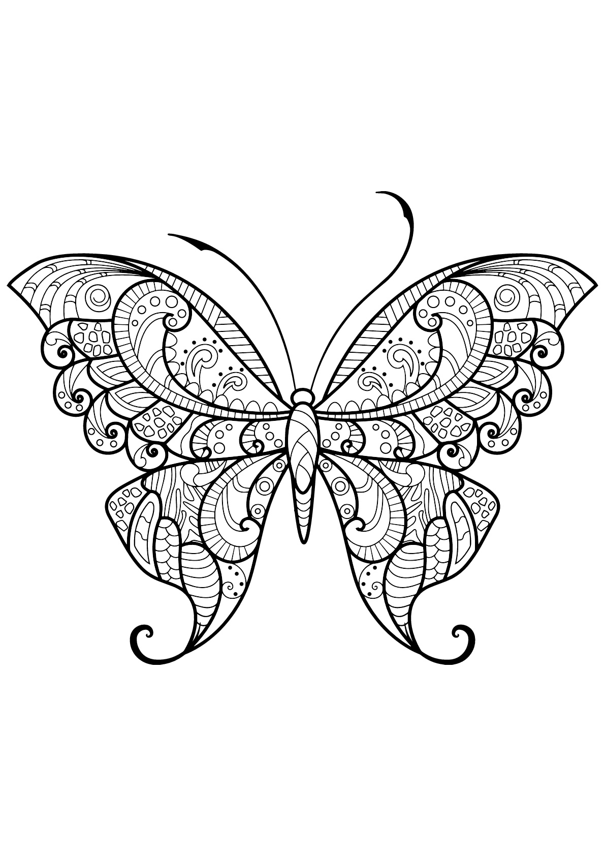 Butterfly Coloring Pages: 100+ A Fluttery Collection for Your Coloring Pleasure 175