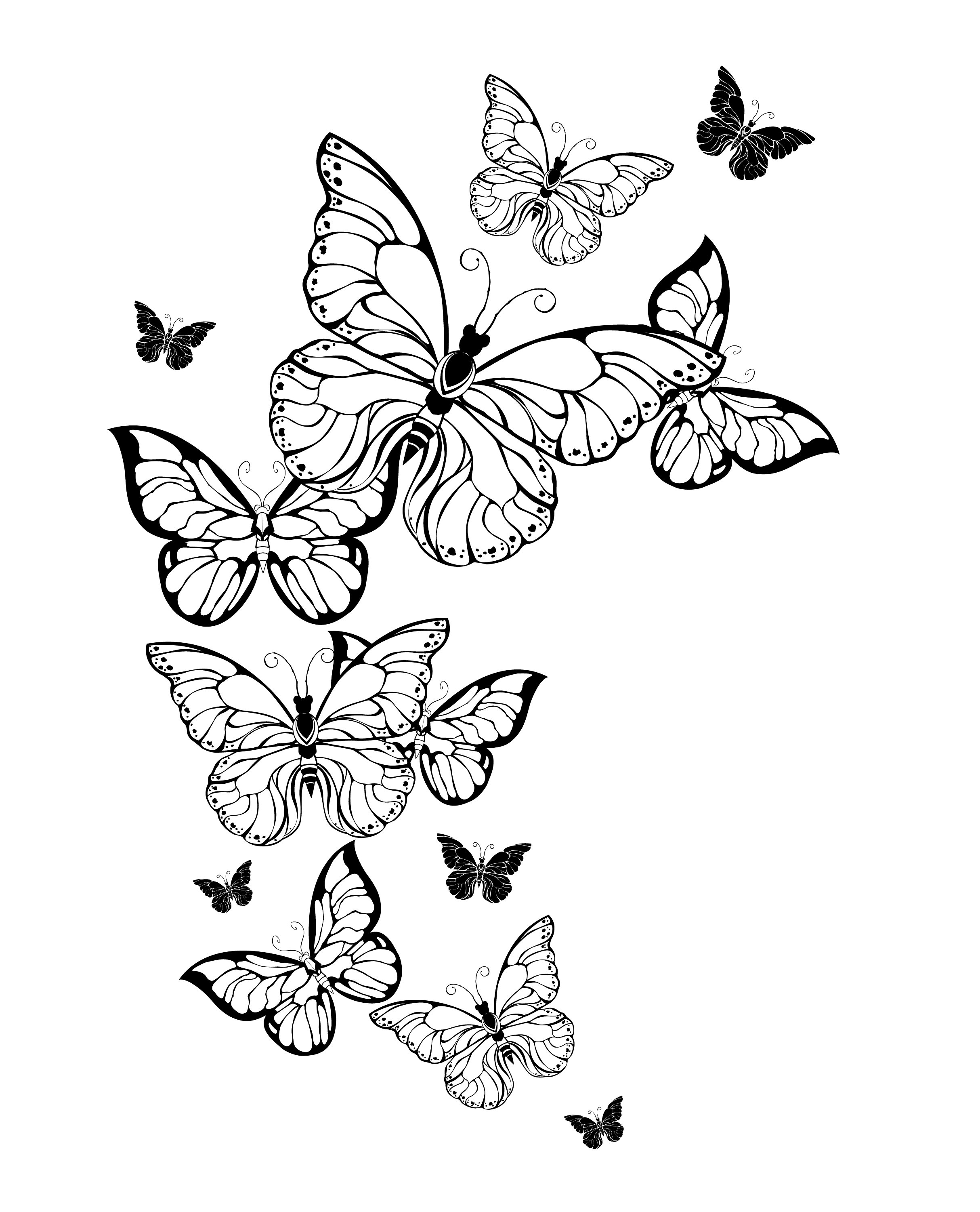 Butterfly Coloring Pages: 100+ A Fluttery Collection for Your Coloring Pleasure 176