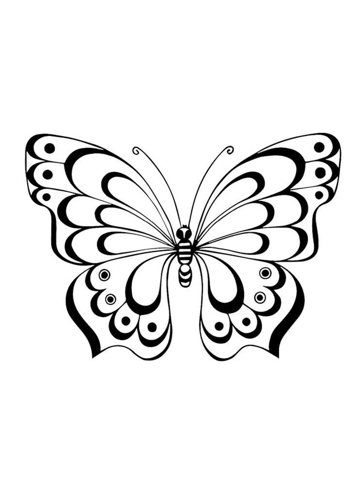 Butterfly Coloring Pages: 100+ A Fluttery Collection for Your Coloring Pleasure 18