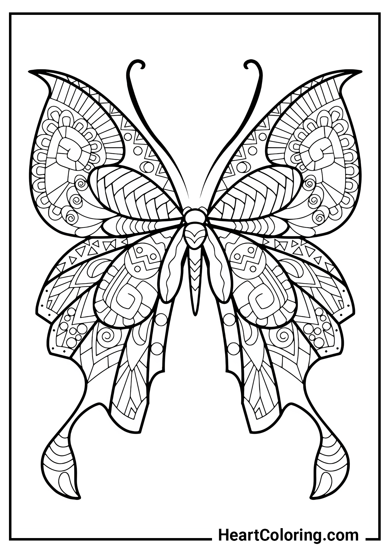 Butterfly Coloring Pages: 100+ A Fluttery Collection for Your Coloring Pleasure 181