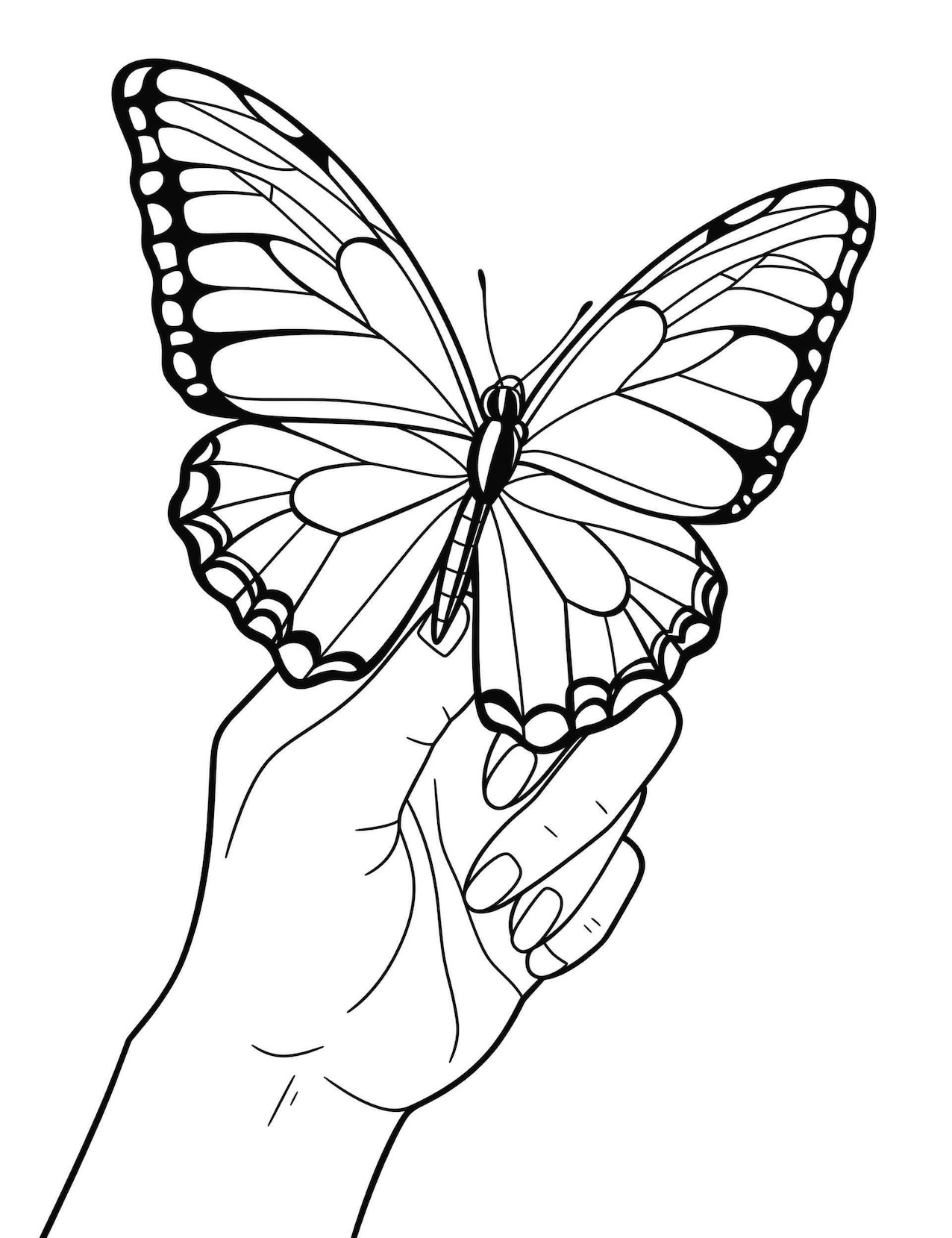 Butterfly Coloring Pages: 100+ A Fluttery Collection for Your Coloring Pleasure 19