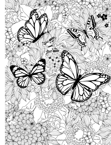 Butterfly Coloring Pages: 100+ A Fluttery Collection for Your Coloring Pleasure 192