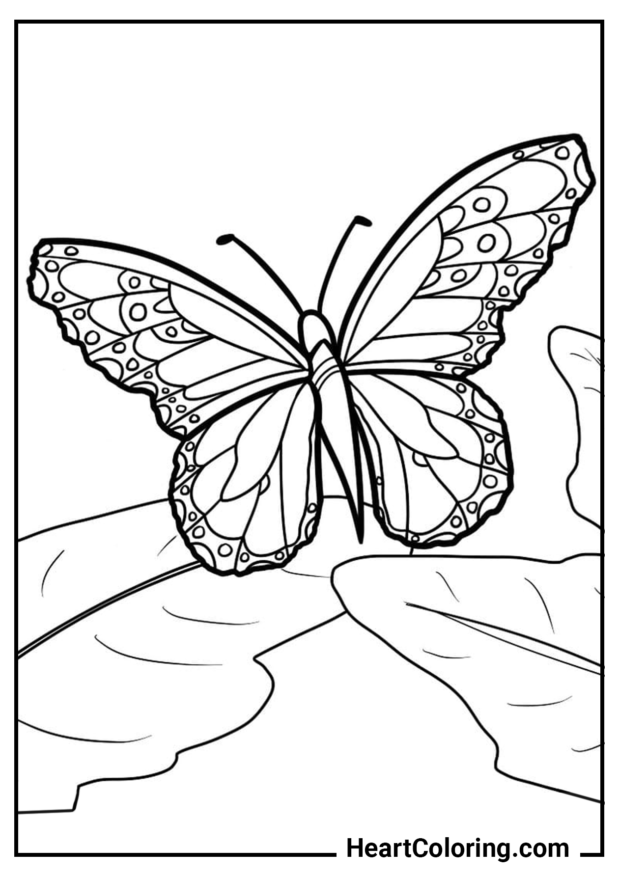 Butterfly Coloring Pages: 100+ A Fluttery Collection for Your Coloring Pleasure 196