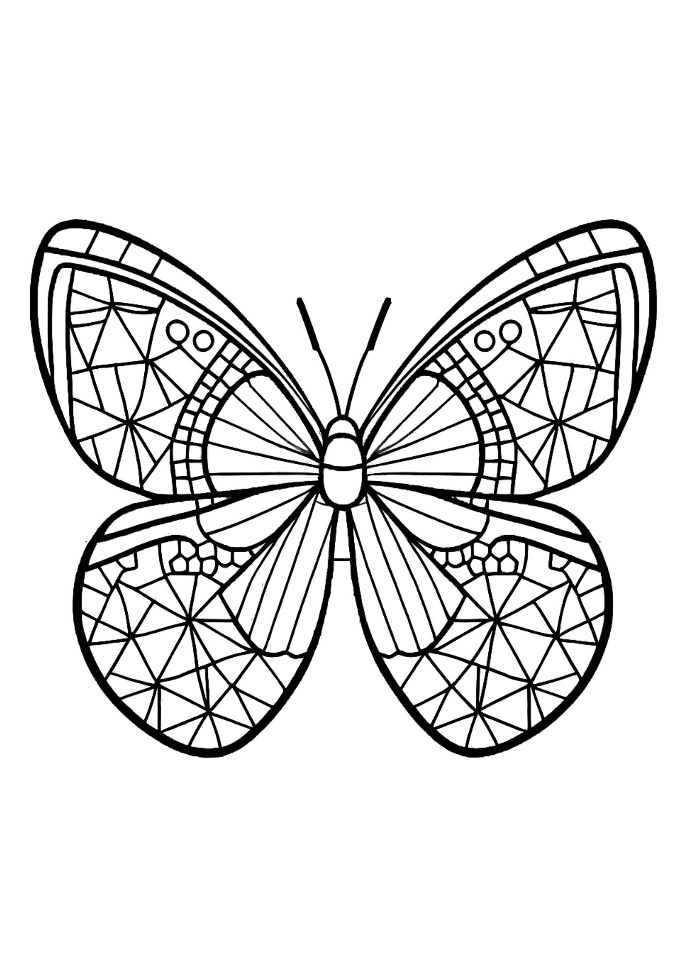 Butterfly Coloring Pages: 100+ A Fluttery Collection for Your Coloring Pleasure 199