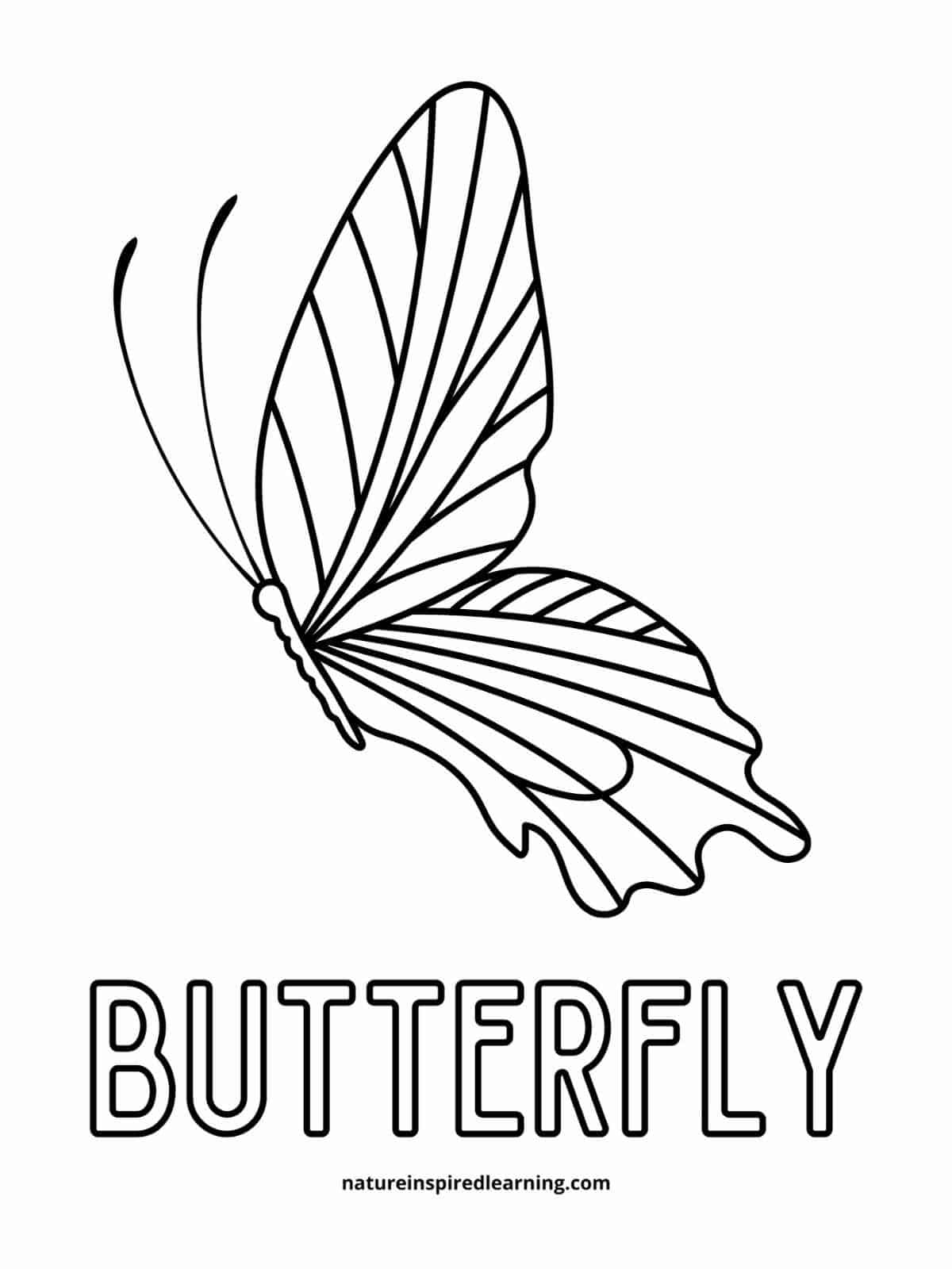 Butterfly Coloring Pages: 100+ A Fluttery Collection for Your Coloring Pleasure 23