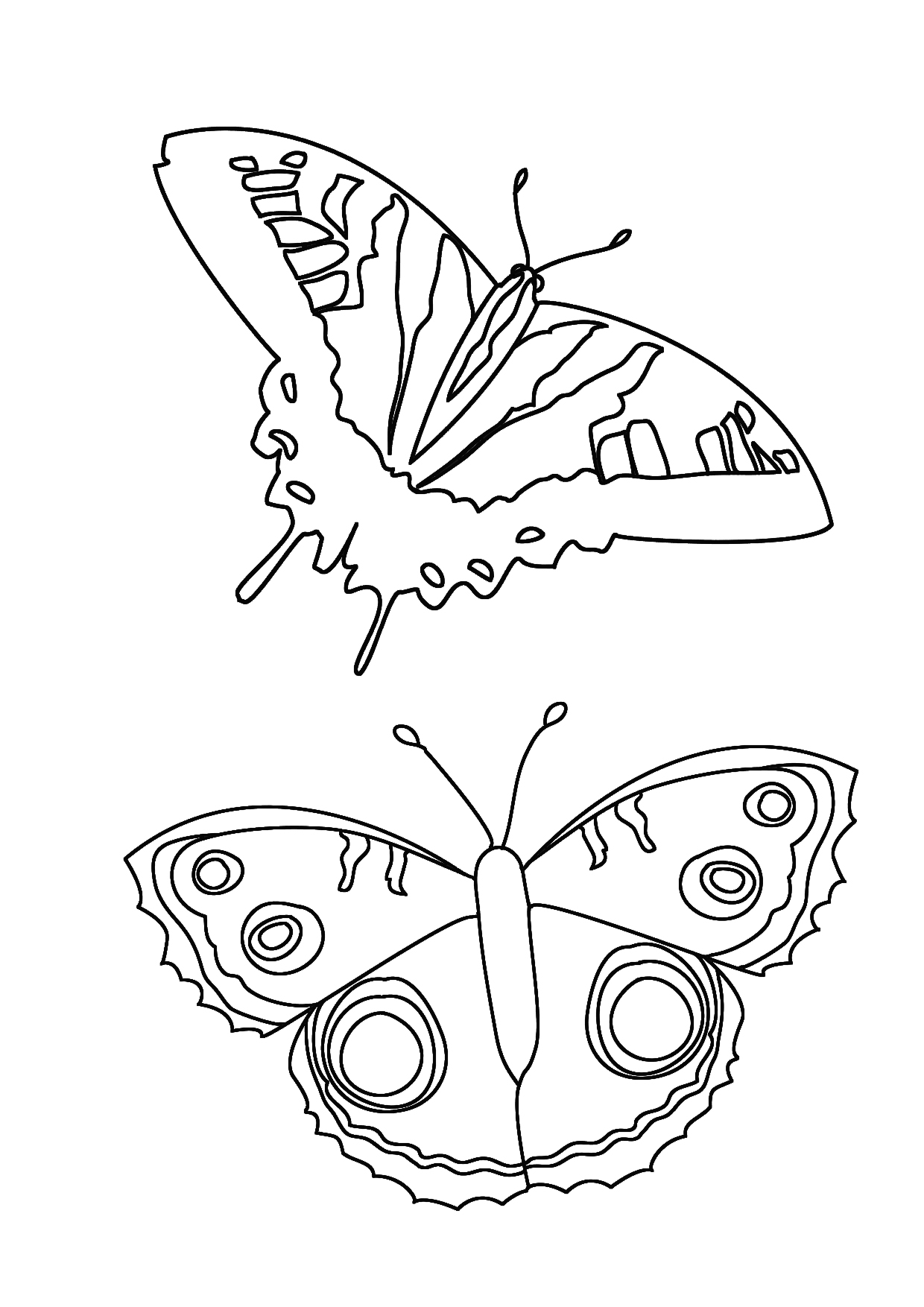 Butterfly Coloring Pages: 100+ A Fluttery Collection for Your Coloring Pleasure 25