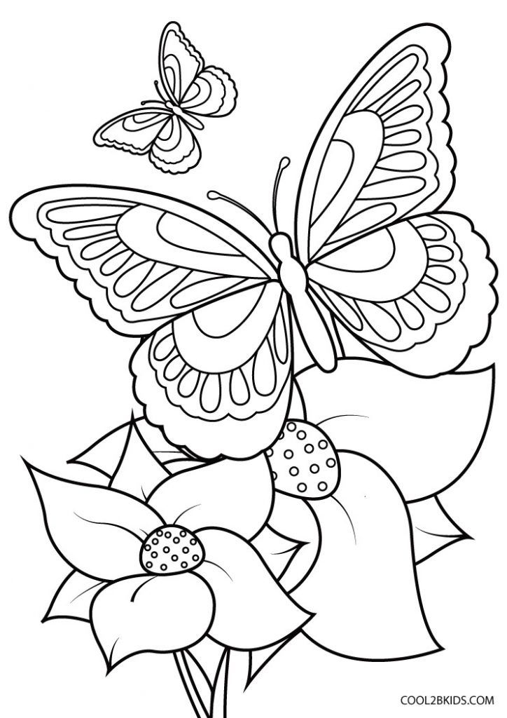 Butterfly Coloring Pages: 100+ A Fluttery Collection for Your Coloring Pleasure 28