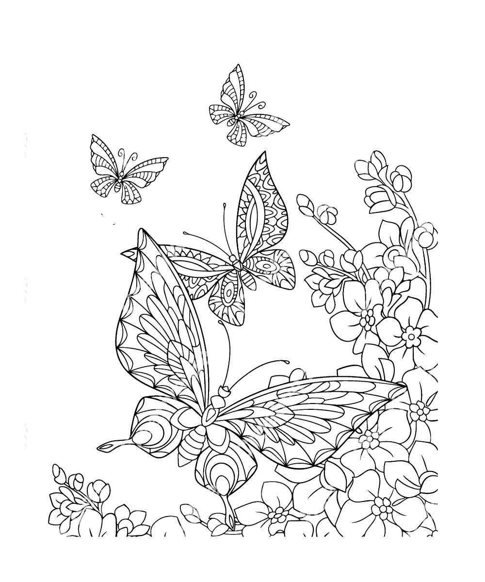 Butterfly Coloring Pages: 100+ A Fluttery Collection for Your Coloring Pleasure 3