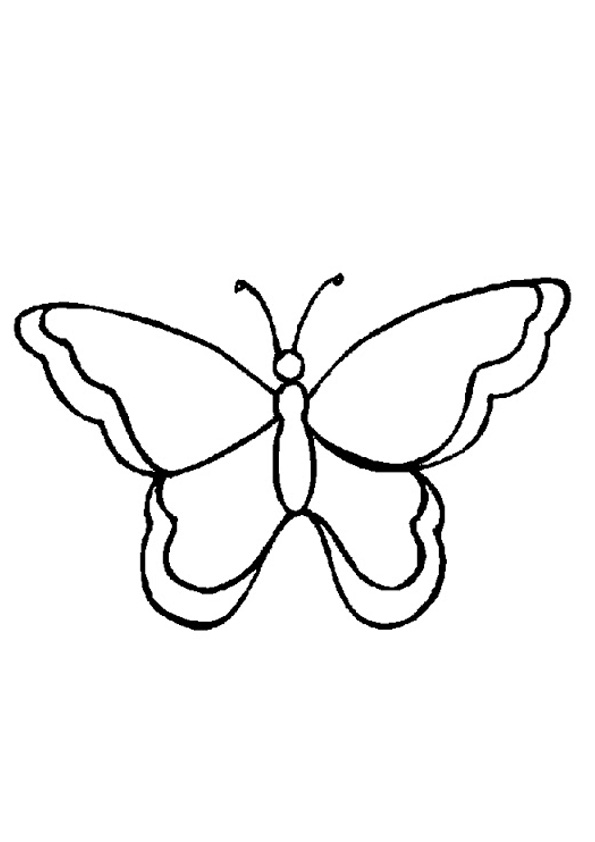 Butterfly Coloring Pages: 100+ A Fluttery Collection for Your Coloring Pleasure 35