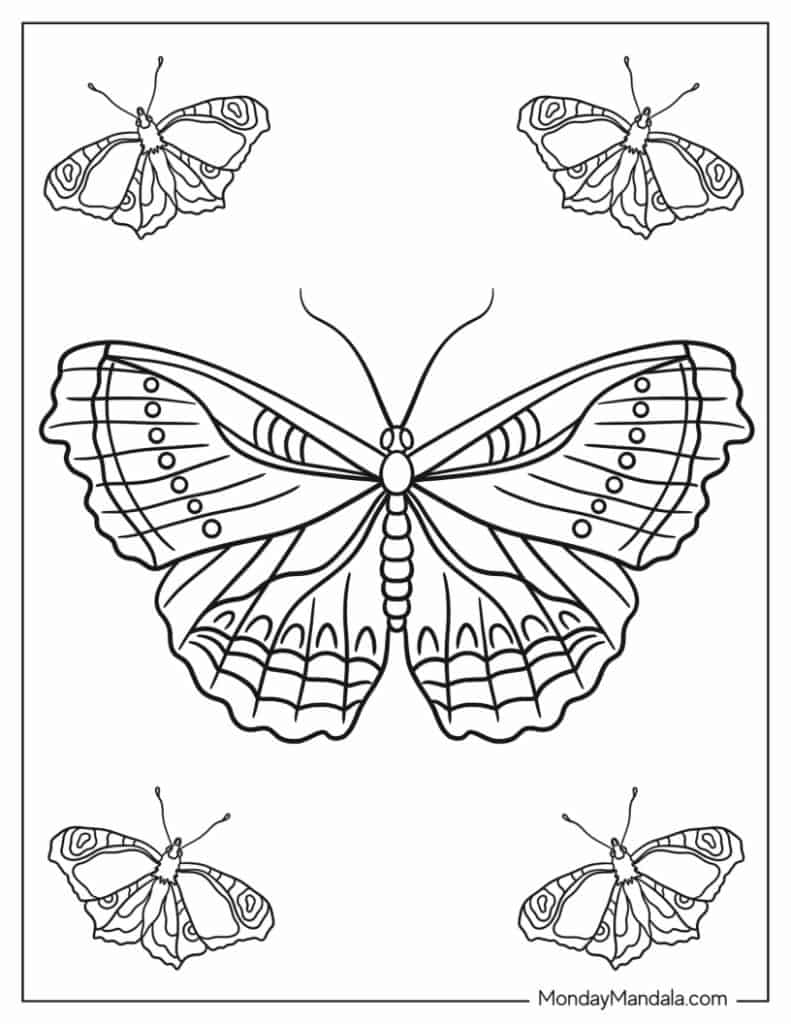 Butterfly Coloring Pages: 100+ A Fluttery Collection for Your Coloring Pleasure 36