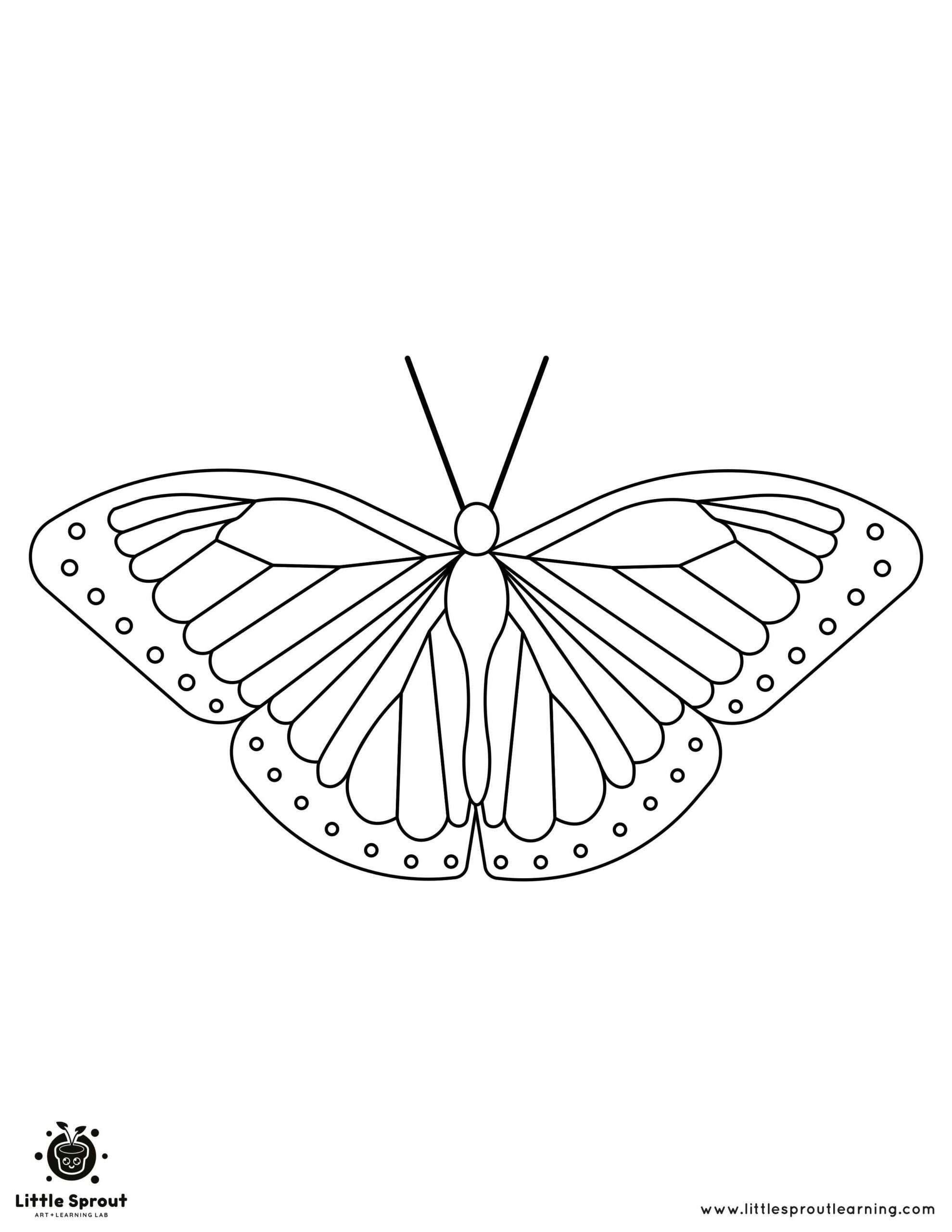 Butterfly Coloring Pages: 100+ A Fluttery Collection for Your Coloring Pleasure 37