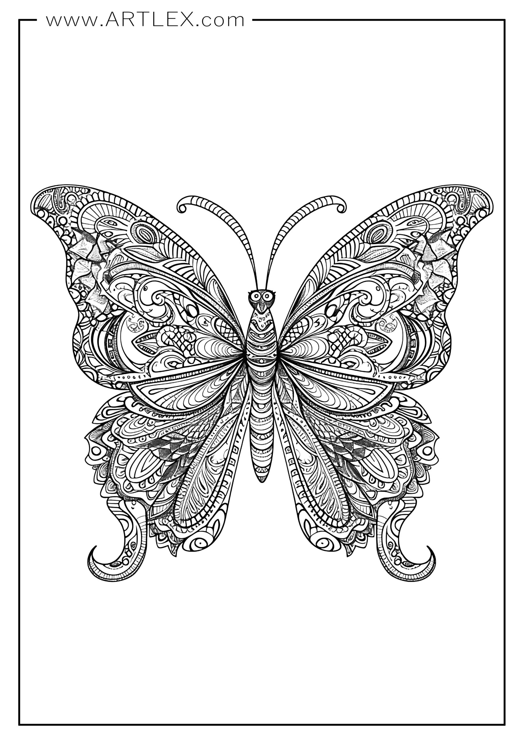 Butterfly Coloring Pages: 100+ A Fluttery Collection for Your Coloring Pleasure 39